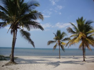 Bagamoyo beach